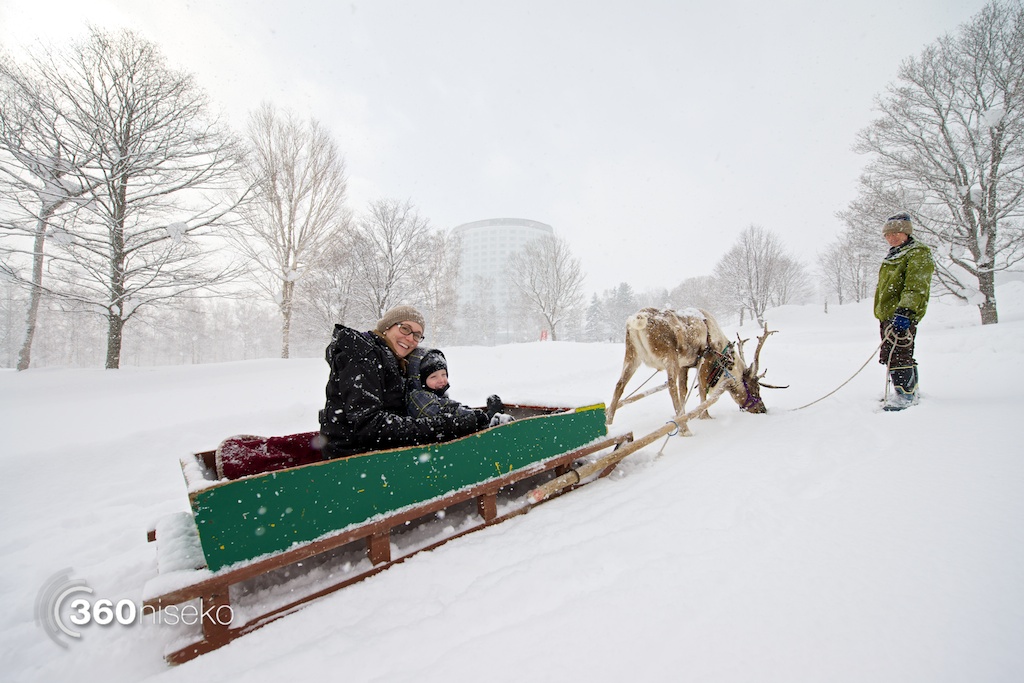 Niseko-village-reindeer-sledding-1