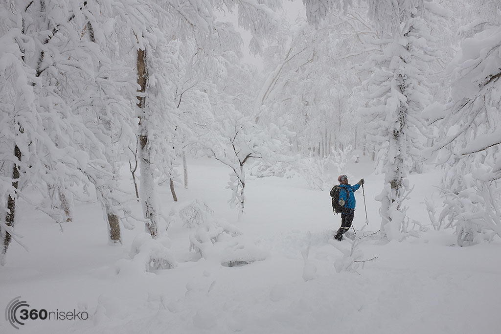 A snowy forest - Mt.Yotei, 11 January 2015