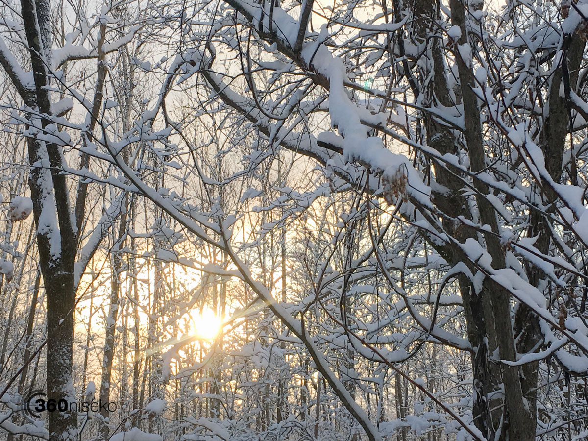 Niseko Snow Report, 23 November 2018