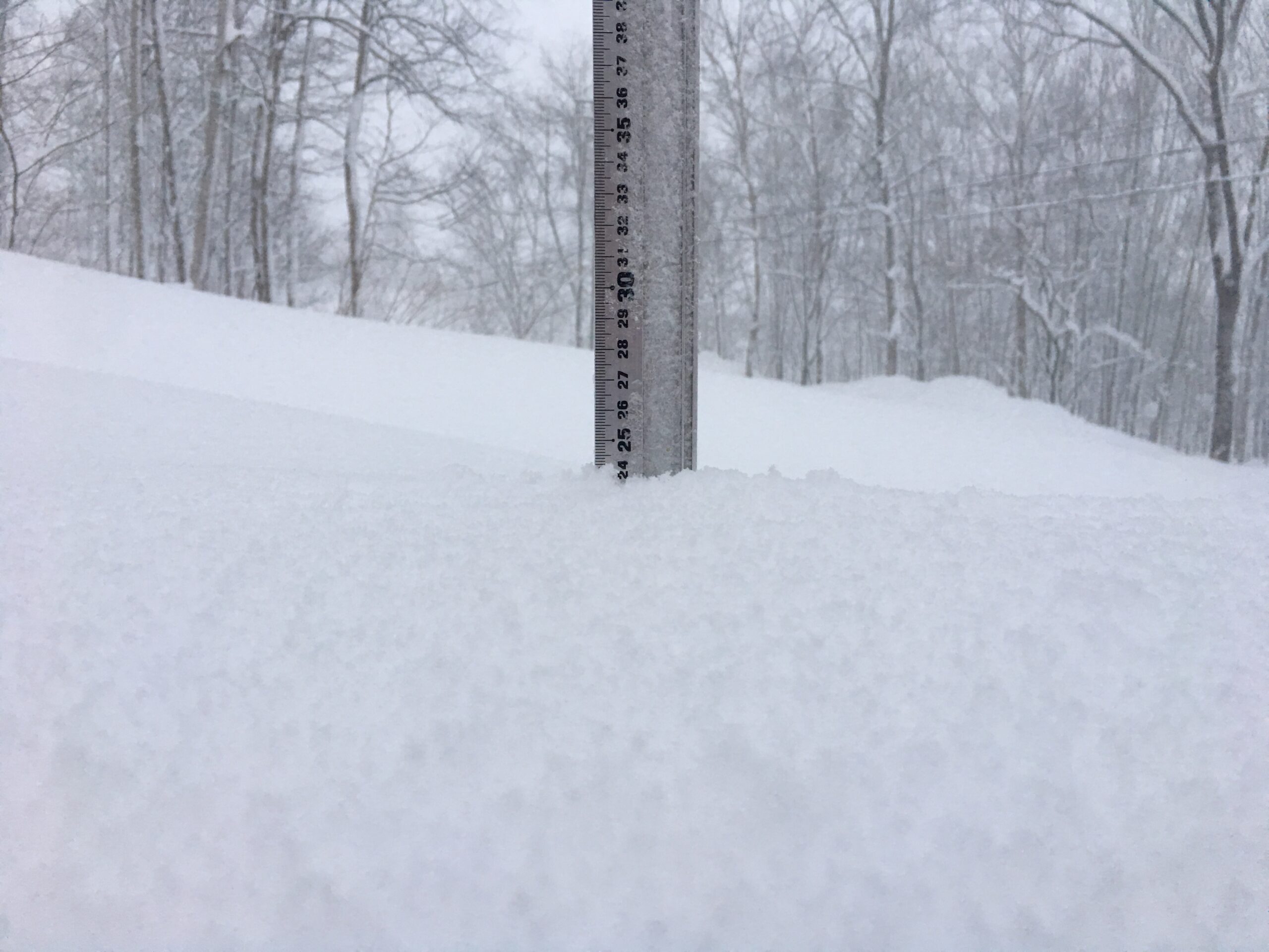 Niseko Snow Report, 17 January 2019