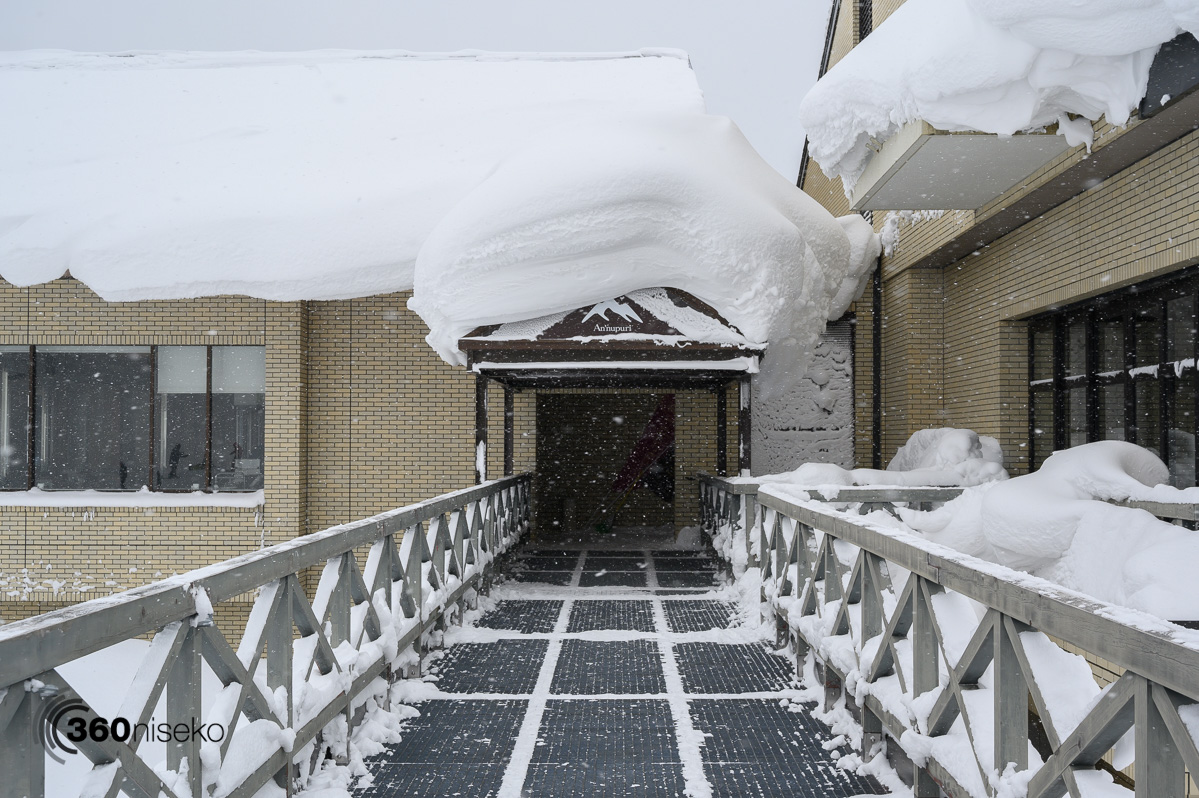 Niseko Snow Report, 10 February 2019