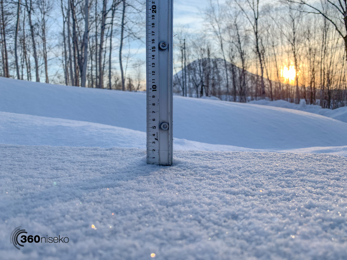 Niseko Snow Report, 24 February 2019