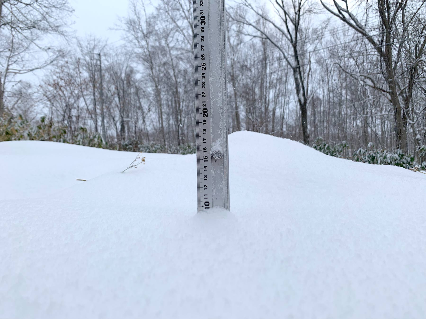 Niseko Snow Report, 17 November 2019