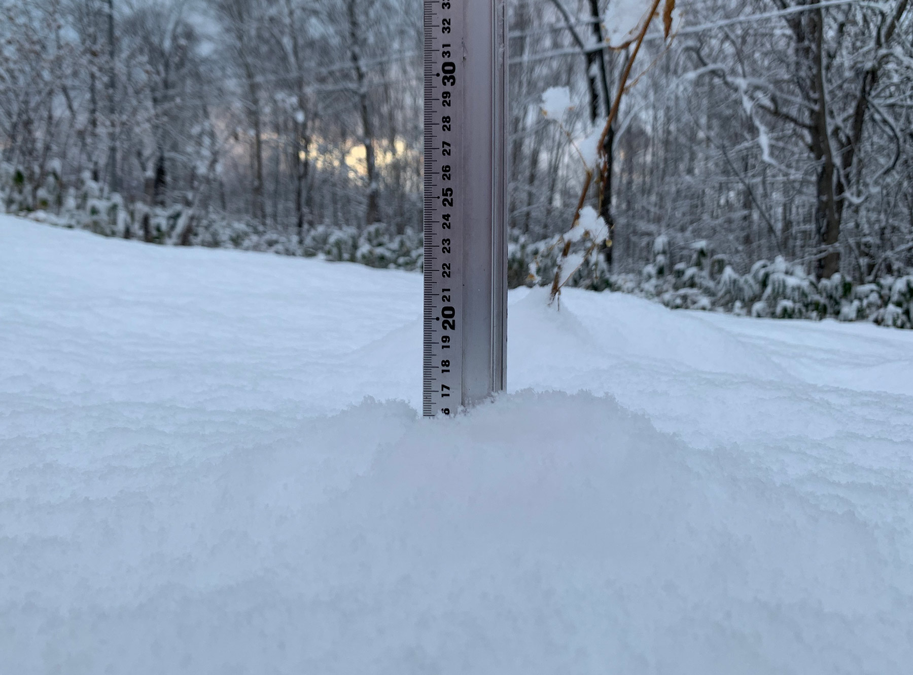 Niseko Snow Report, 30 November 2019