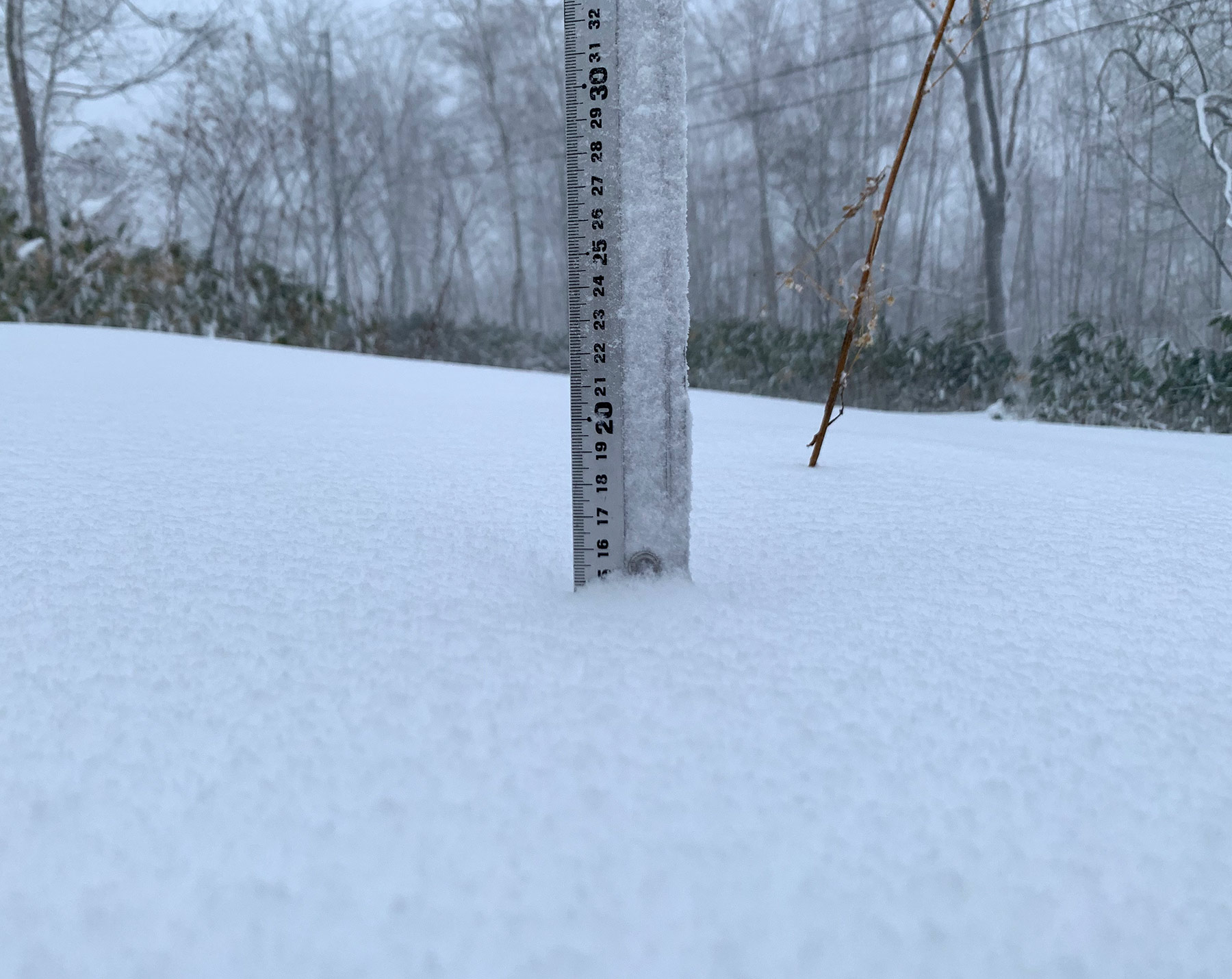 Niseko Snow Report, 4 December 2019