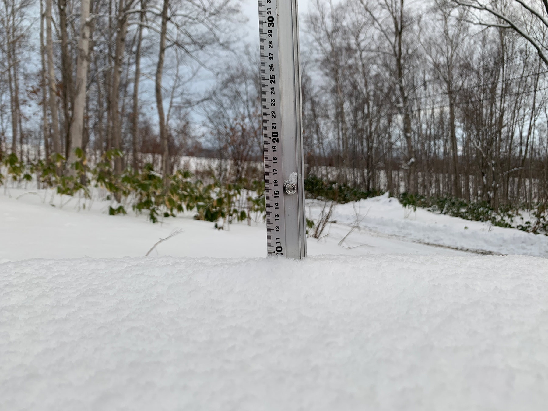 Niseko Snow Report, 15 December 2019