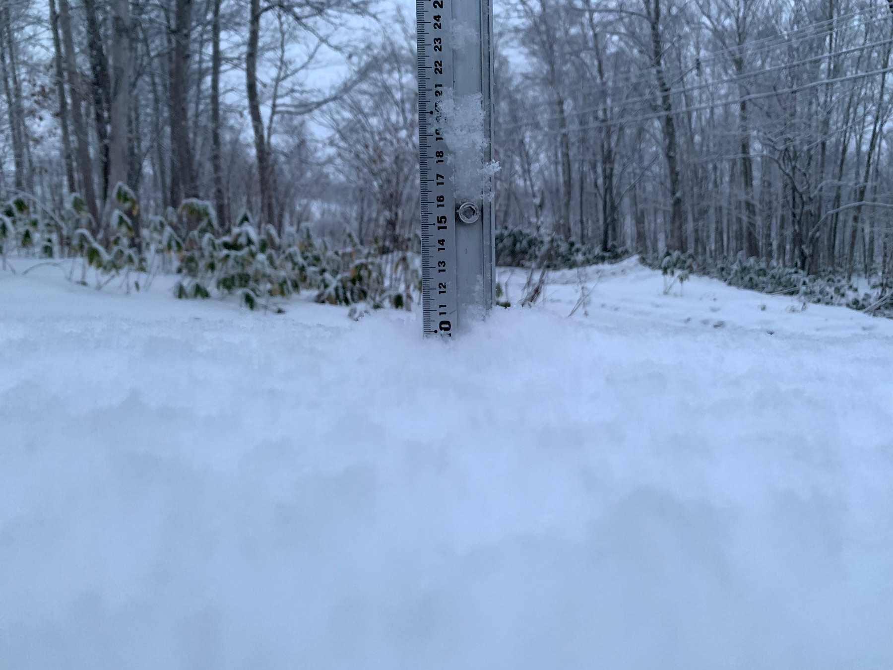 Niseko Snow Report, 20 December 2019