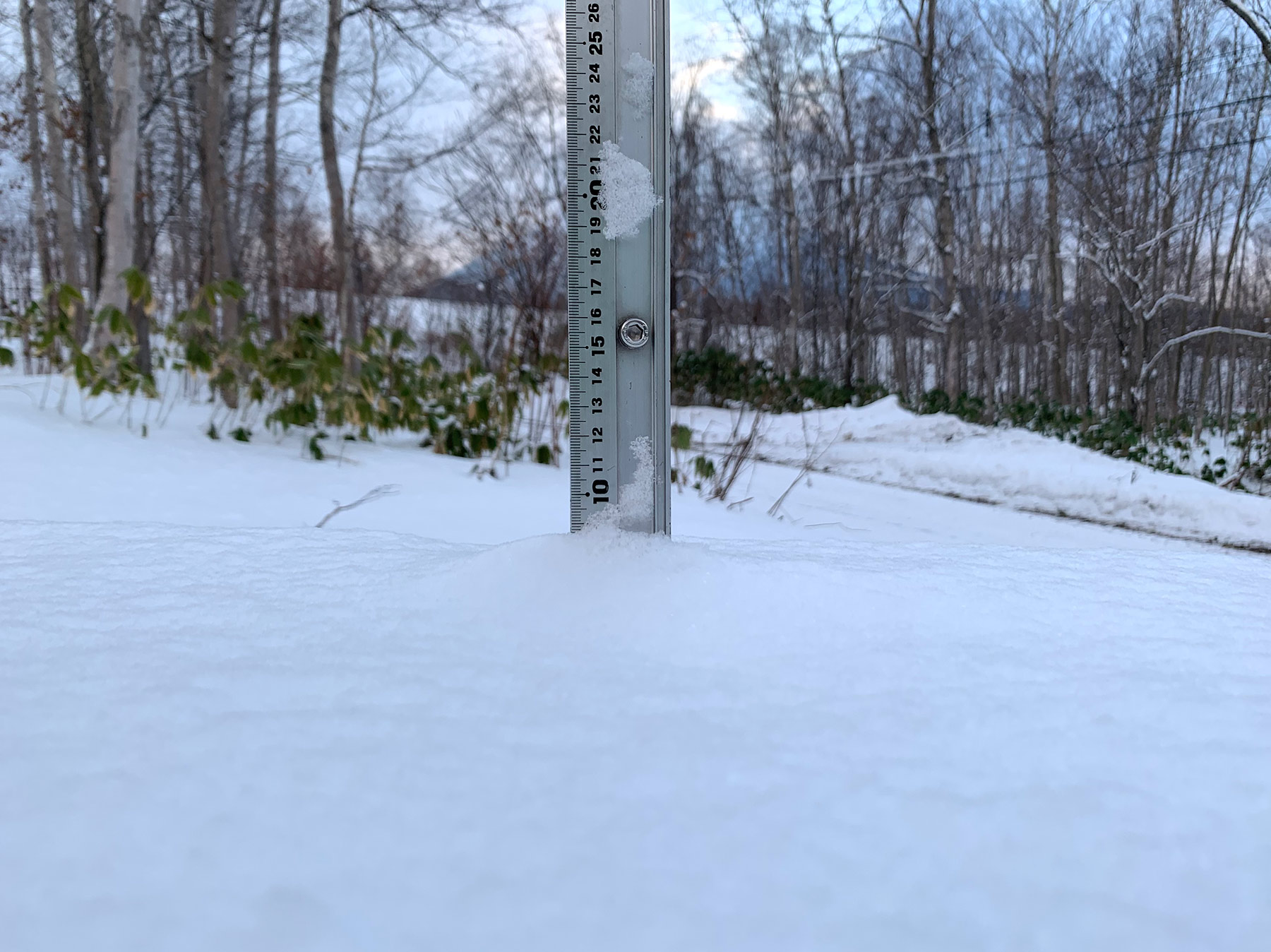 Niseko Snow Report, 22 December 2019