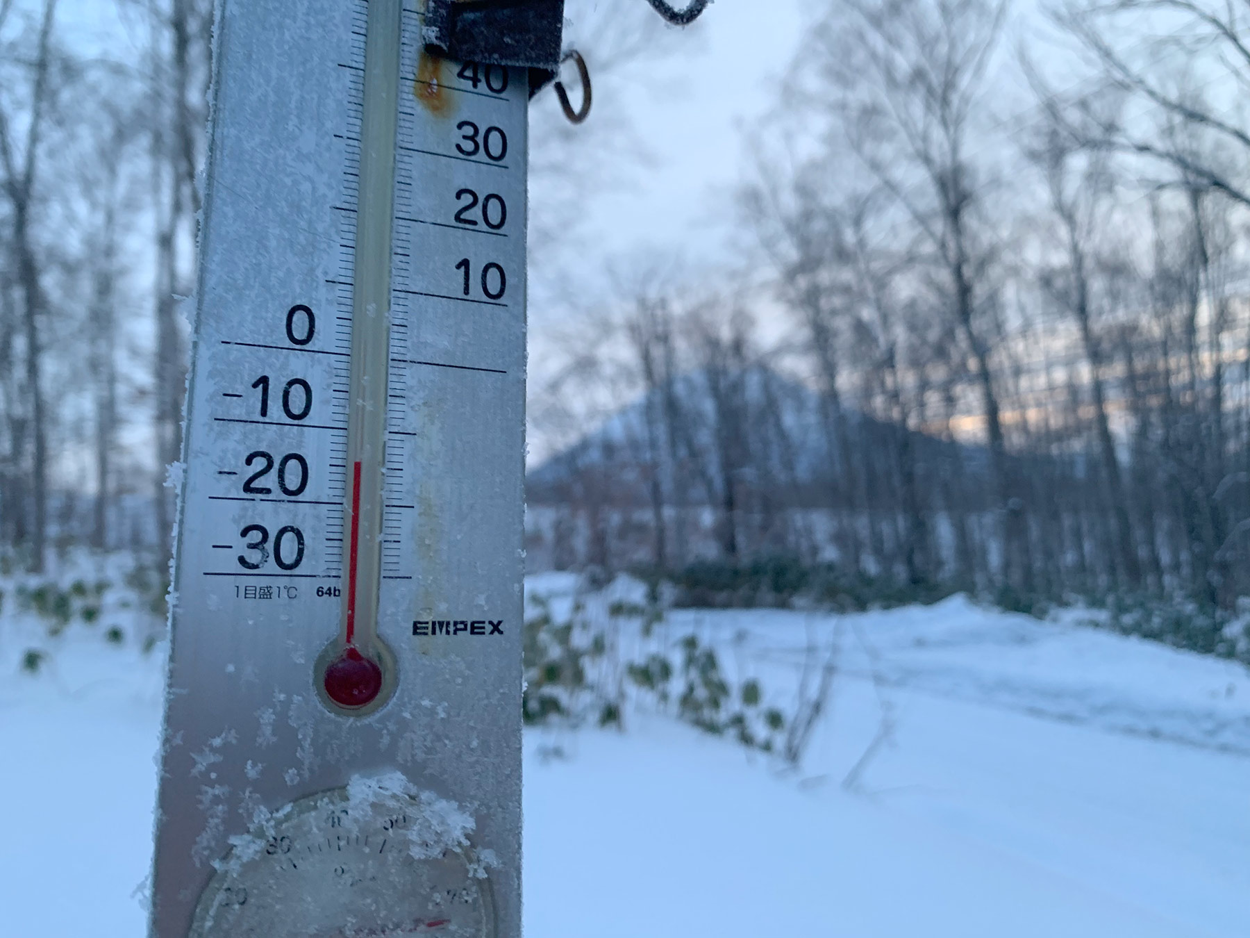 Niseko Snow Report, 23 December 2019