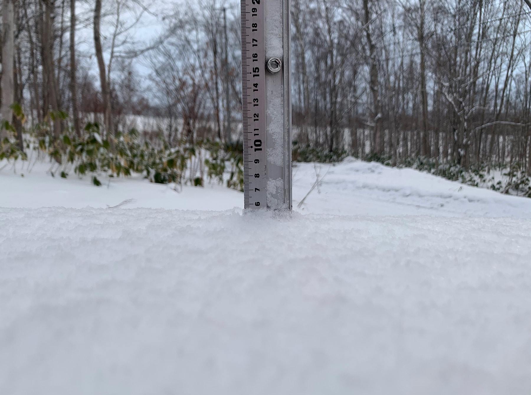 Niseko Snow Report, 25 December 2019