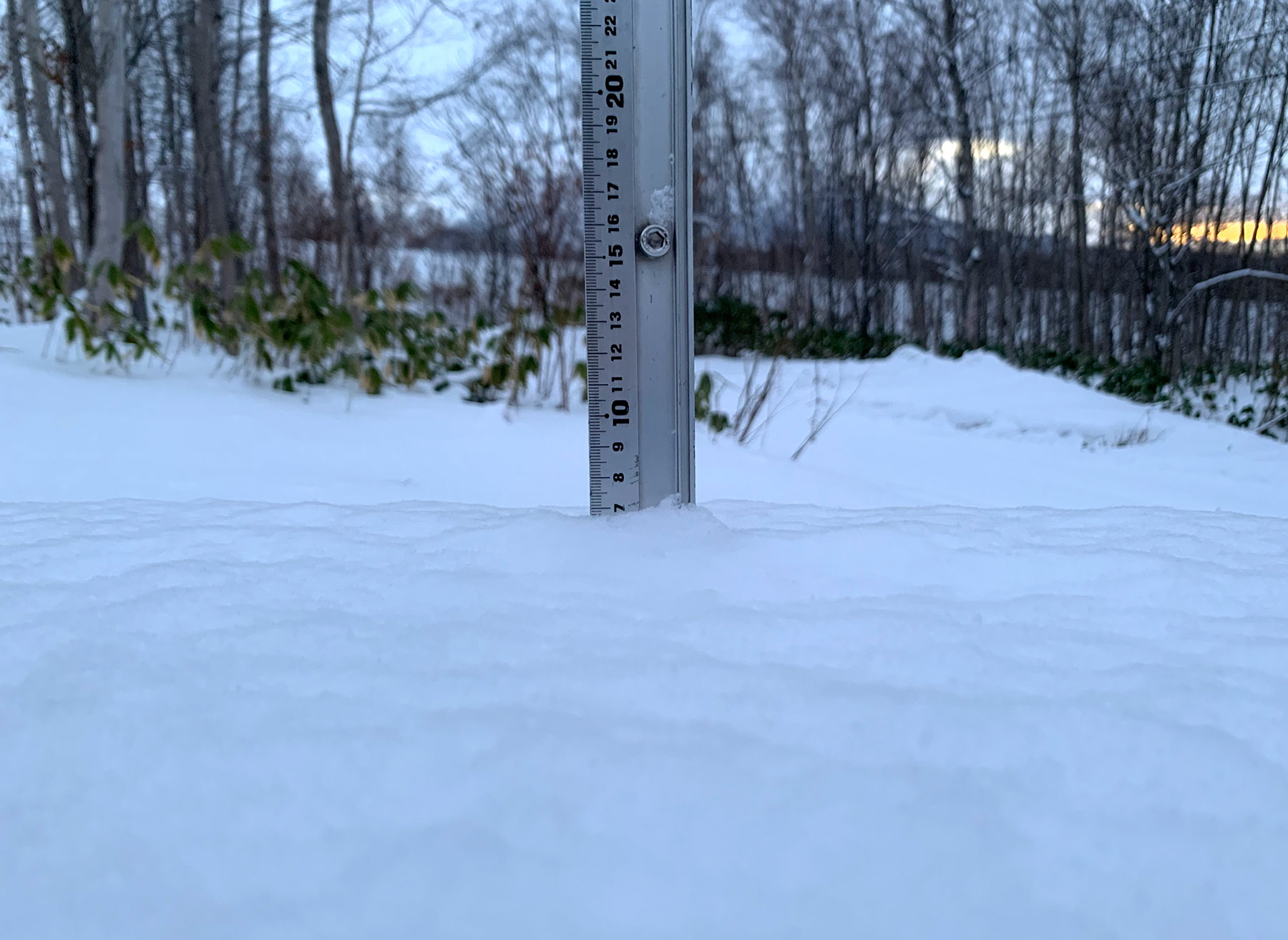 Niseko Snow Report, 28 December 2019