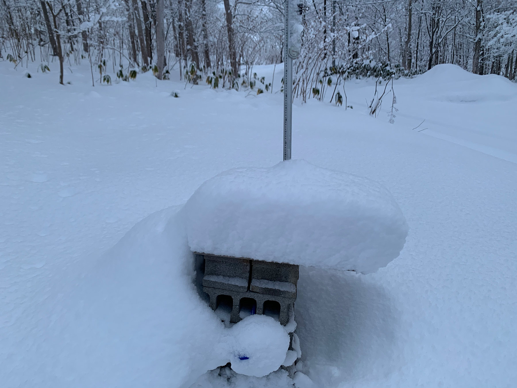 Niseko Snow Report 17 January 2020