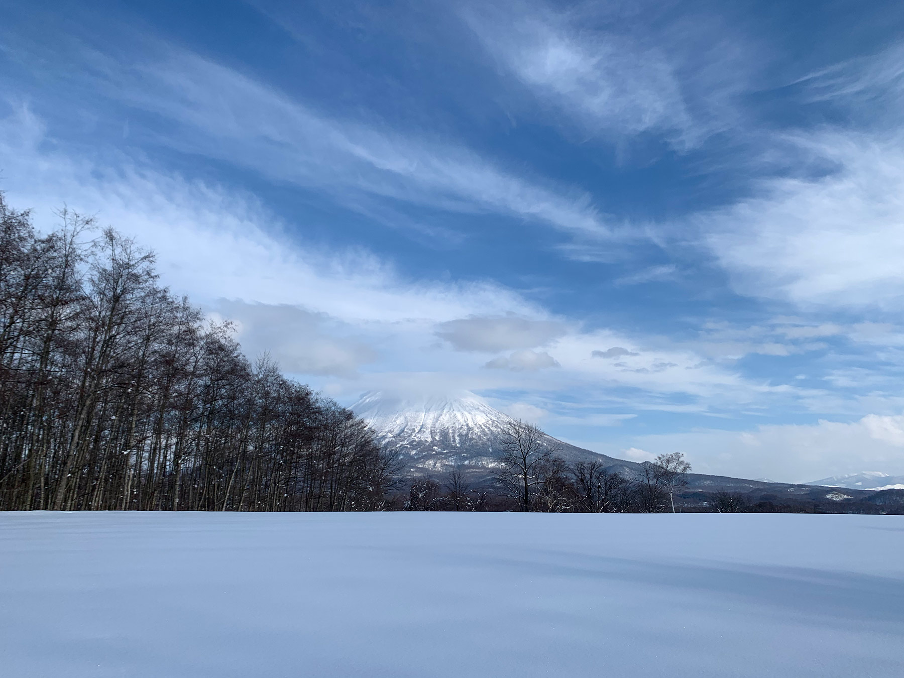Niseko Snow Report, 20 January 2020