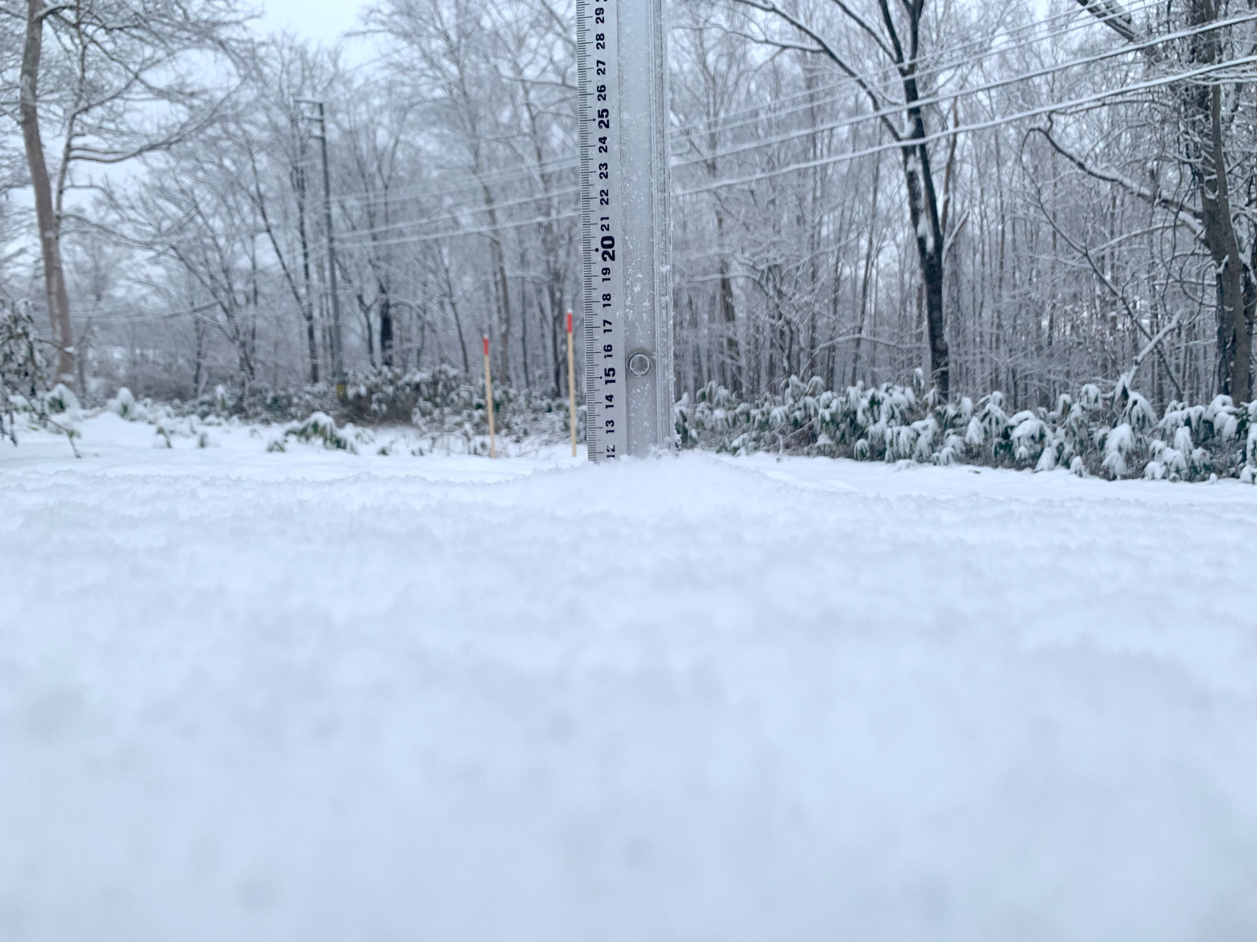 Niseko Snow Report, 30 November 2020
