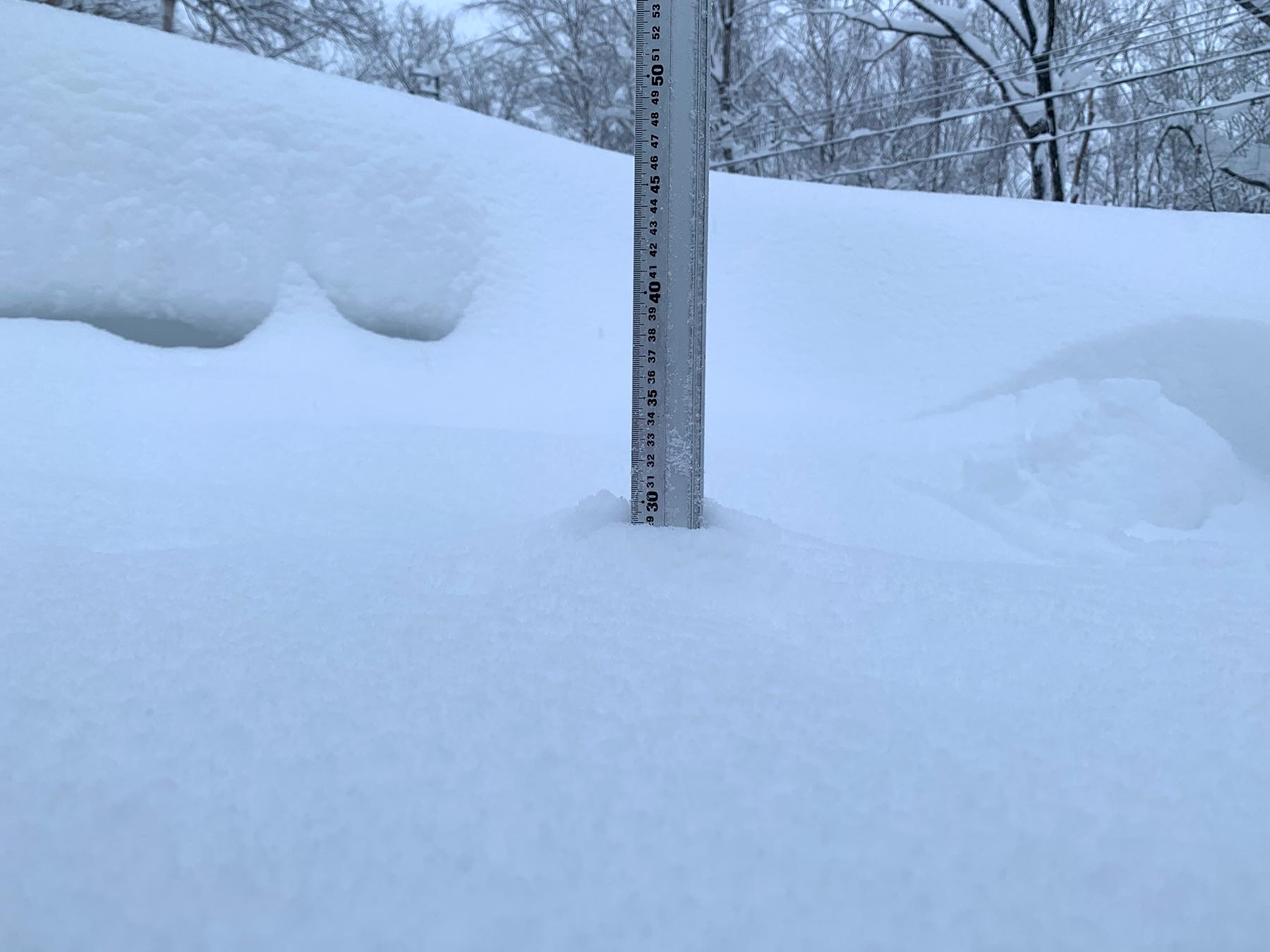 Niseko Snow Report, 31 December 2020