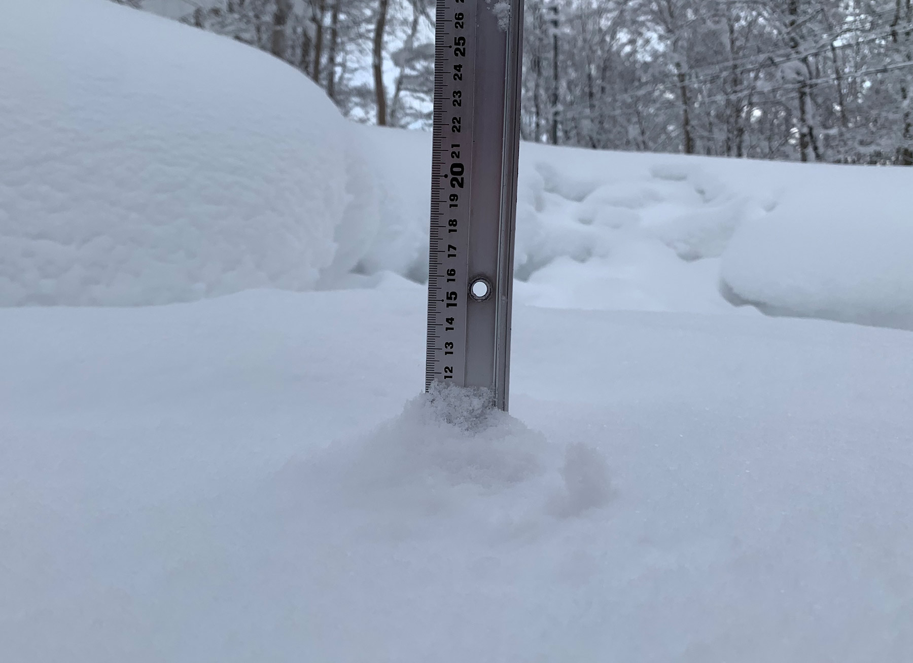 Niseko Snow Report, 6 January 2021