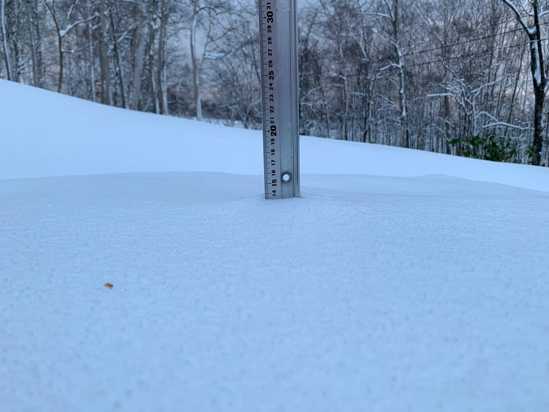 Niseko Snow Report 14 December 2021