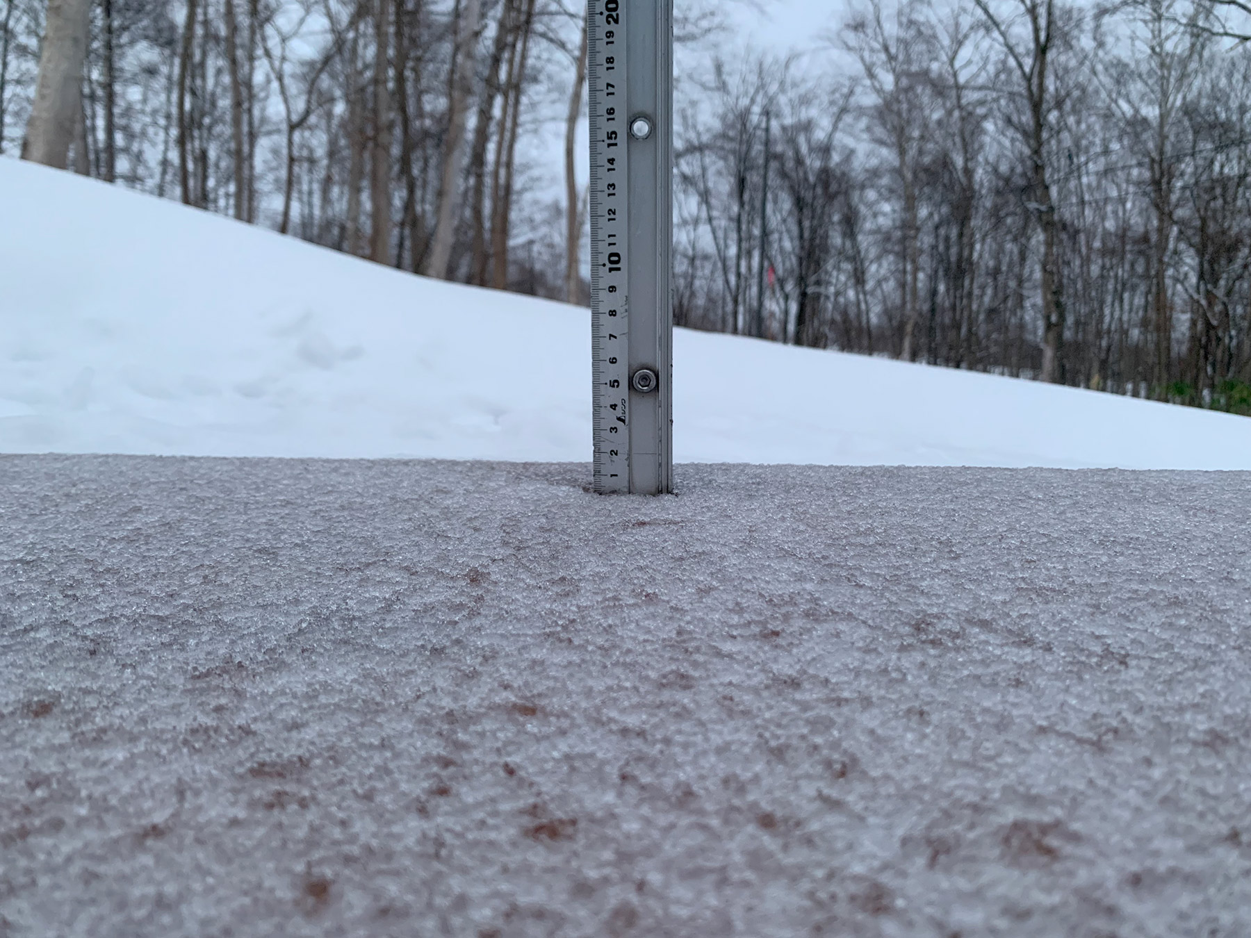 Niseko Snow Report, 15 December 2021