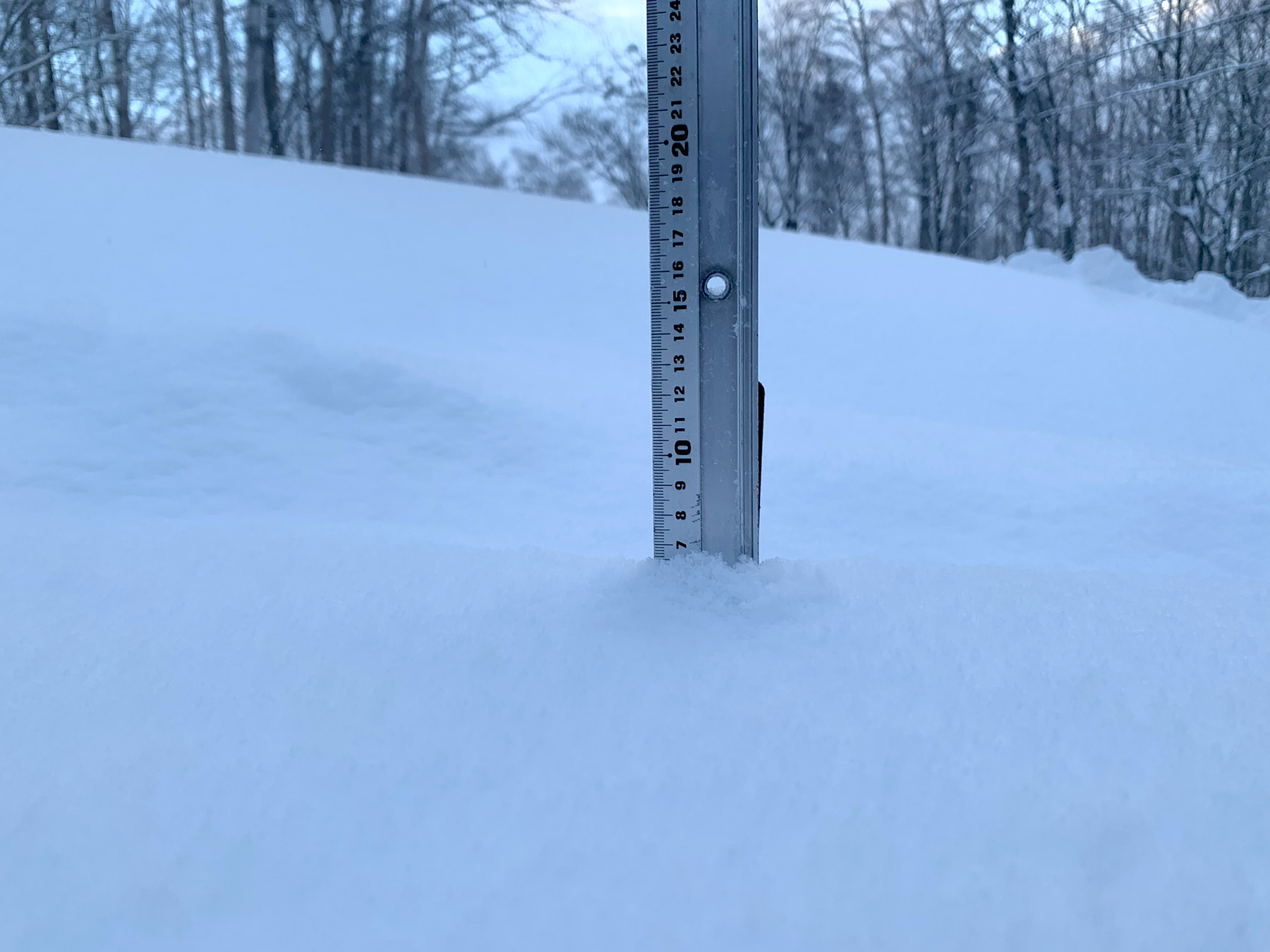 Niseko Snow Report, 21 January 2022