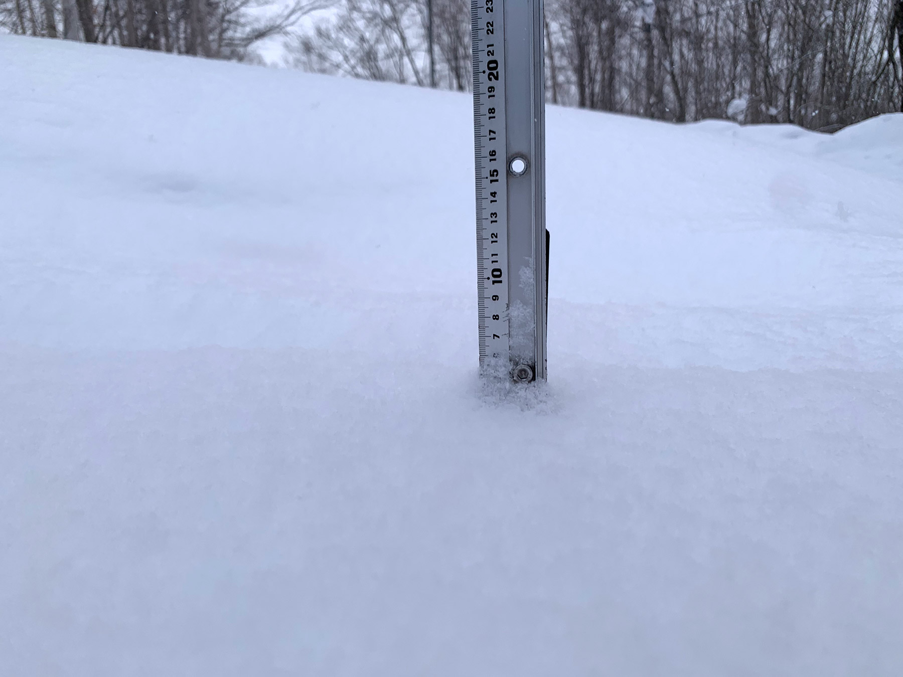 Niseko Snow Report, 18 February 20