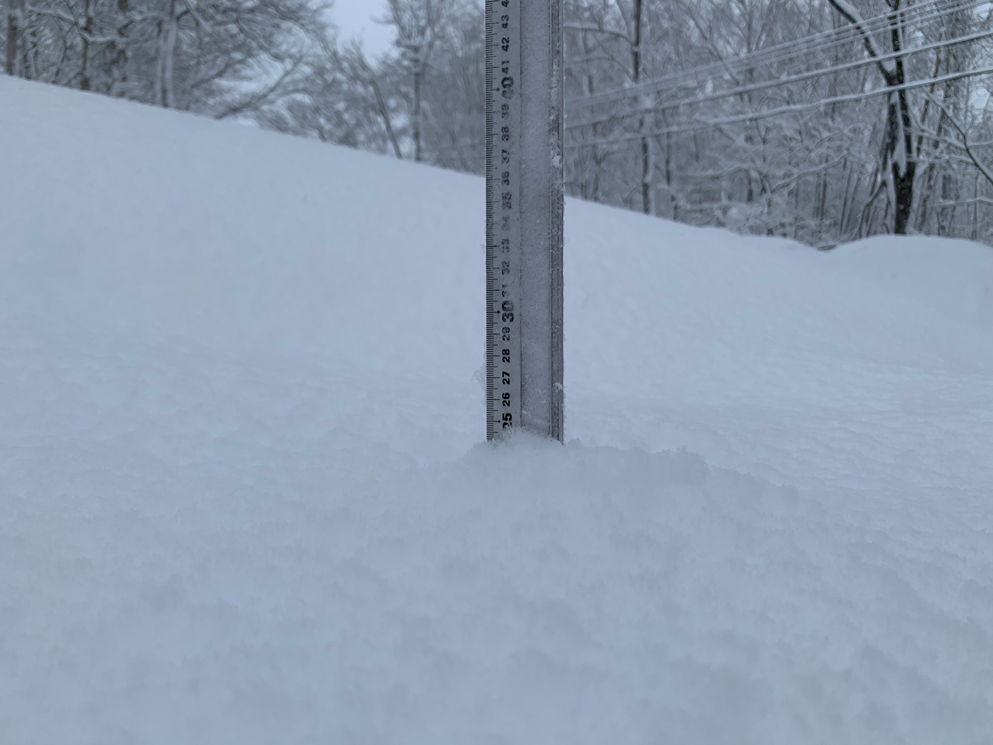 Niseko Snow Report, 20 February 2022