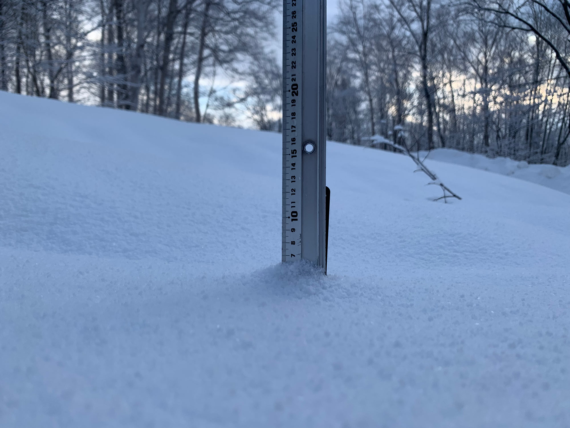 Niseko Snow Report, 2 March 2022