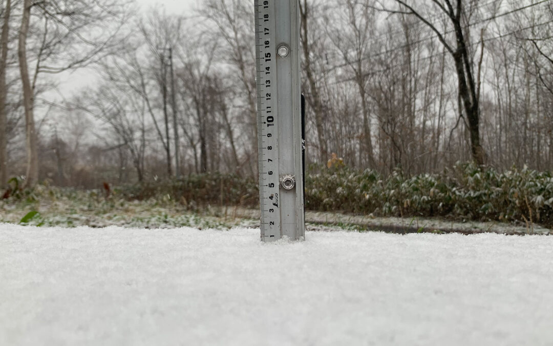 Niseko Snow Report, 30 November 2022