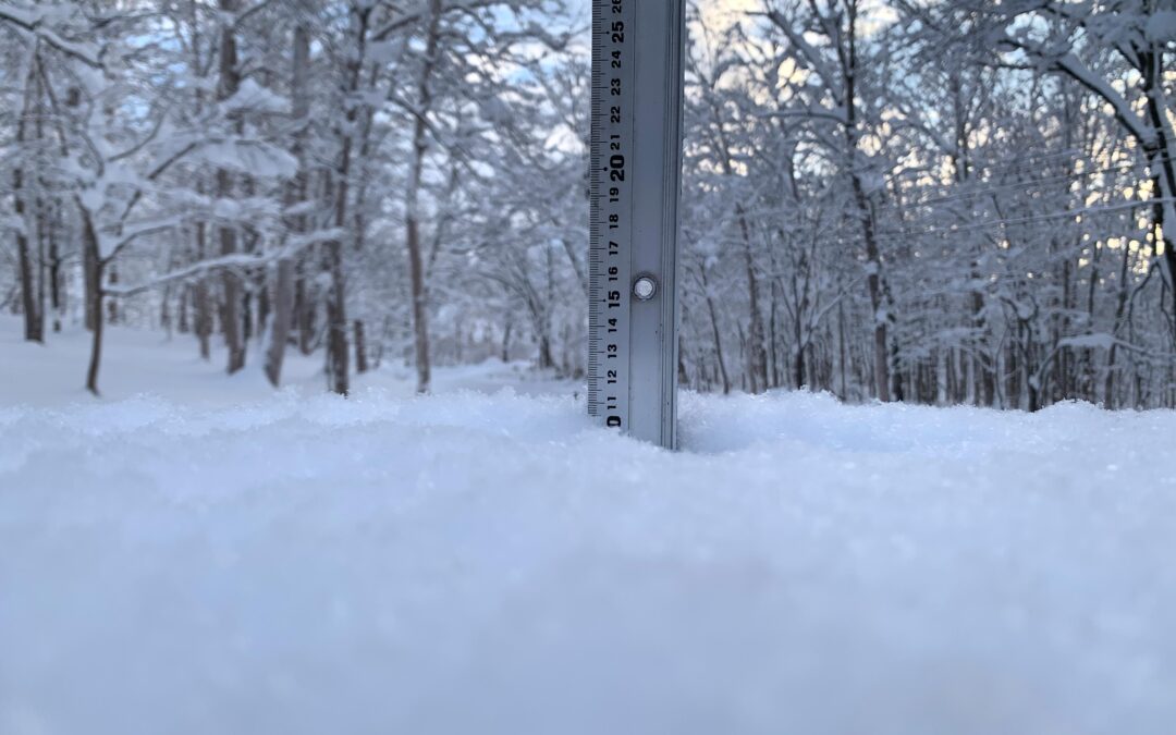 Niseko Snow Report, 12 December 2022