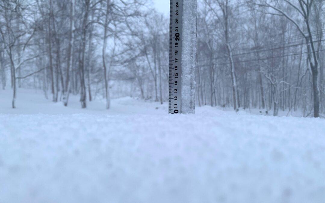Niseko Snow Report, 15 December 2022