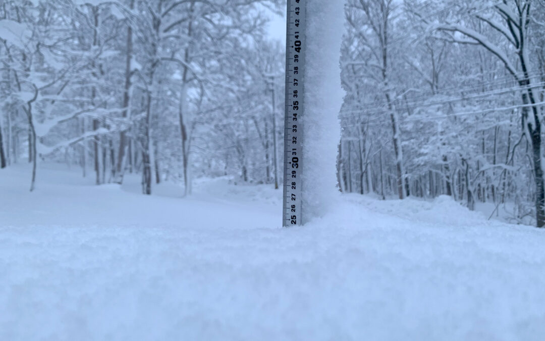 Niseko Snow Report, 17 December 2022
