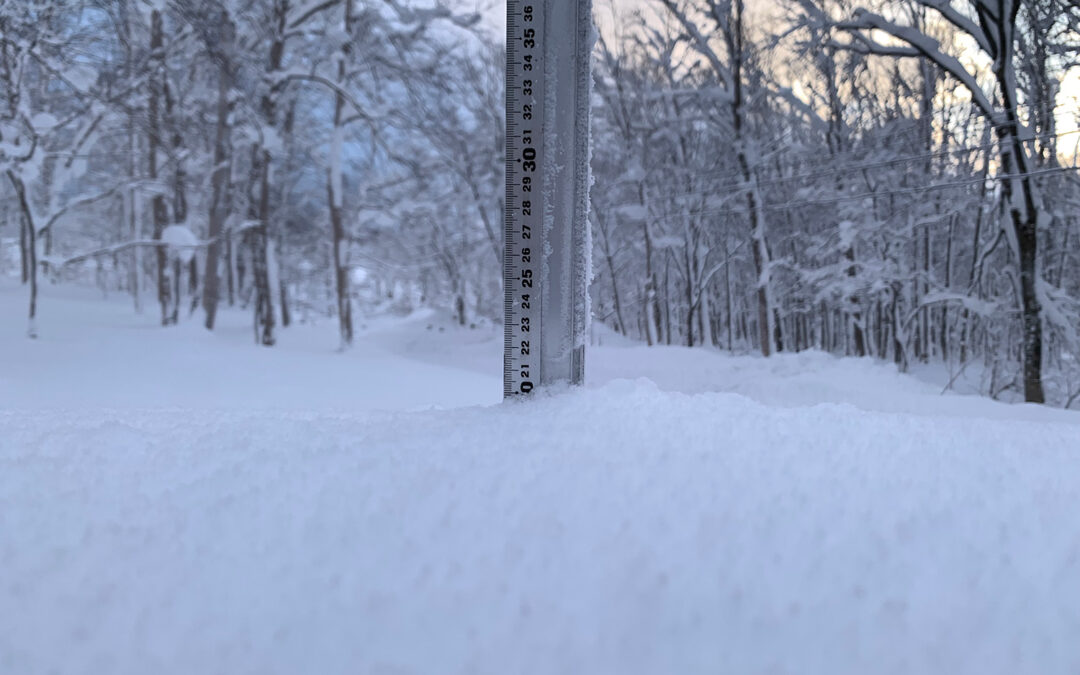 Niseko Snow Report, 19 December 2022