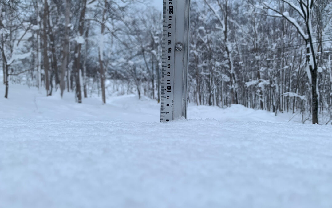 Niseko Snow Report, 21 December 2022