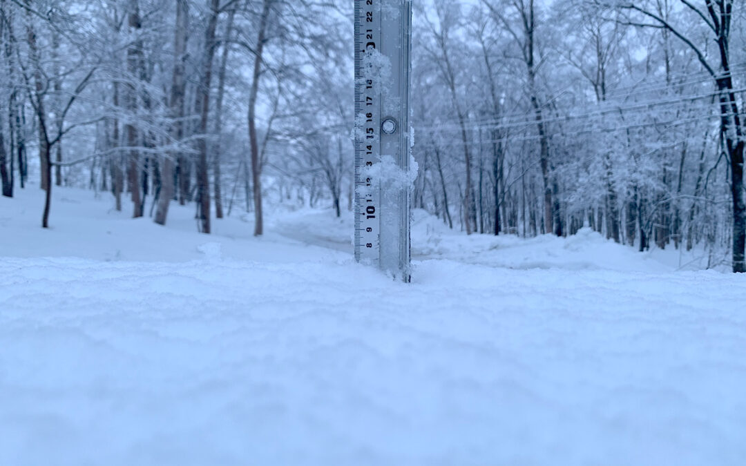Niseko Snow Report, 23 December 2022