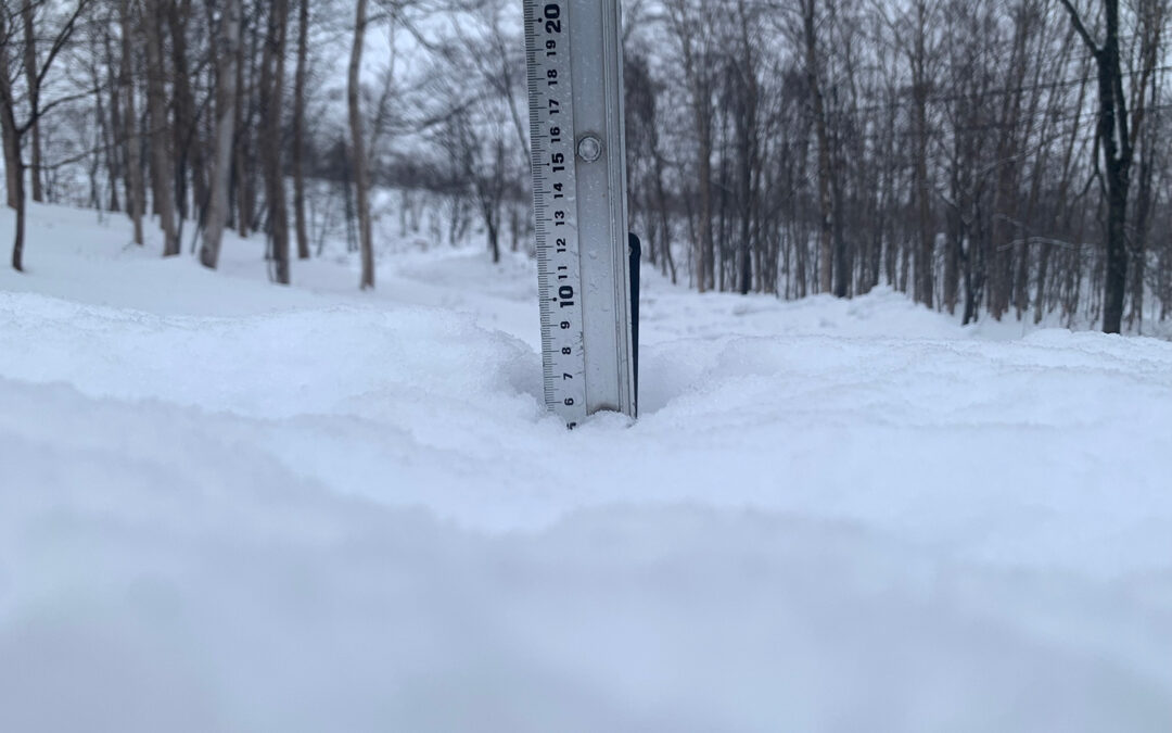 Niseko Snow Report, 24 December 2022