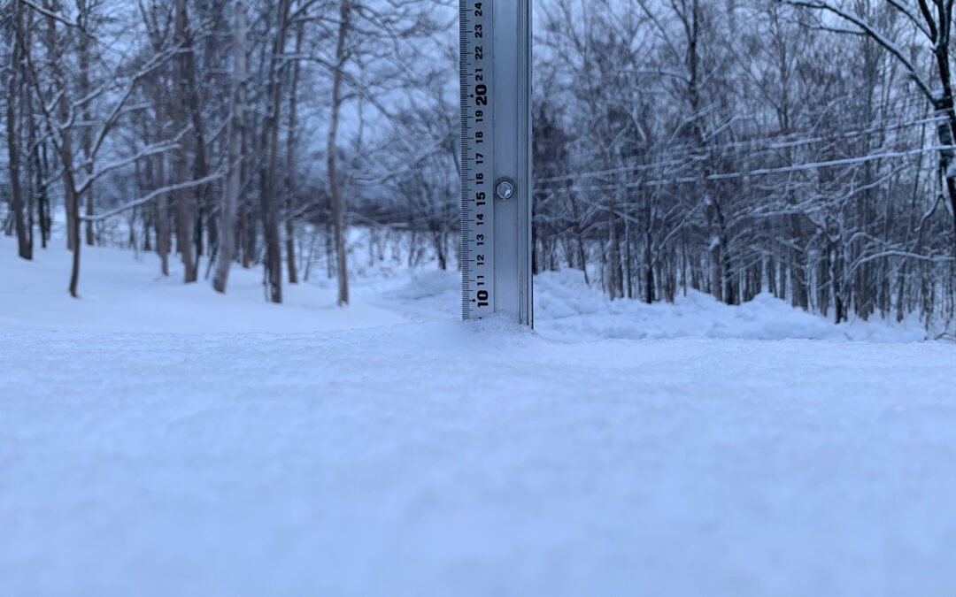 Niseko Snow Report, 25 December 2022