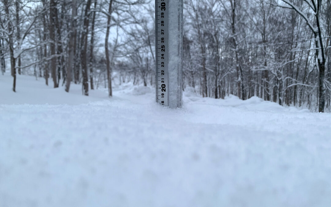 Niseko Snow Report, 30 January 2022