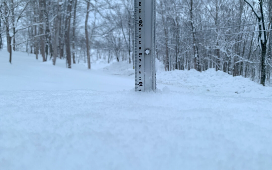 Niseko Snow Report, 31 December 2022