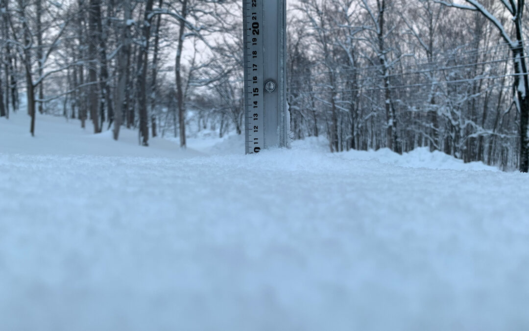 Niseko Snow Report, 1 January 2023