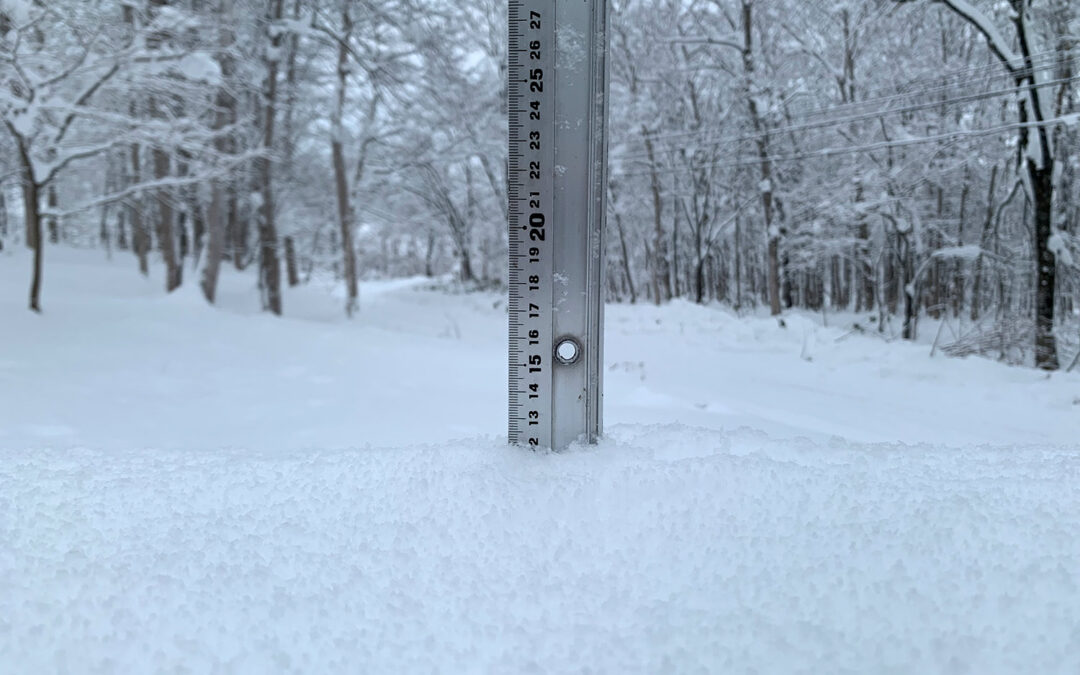 Niseko Snow Report, 11 December 2022