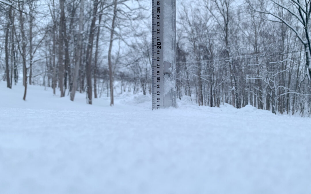 Niseko Snow Report, 29 December 2022