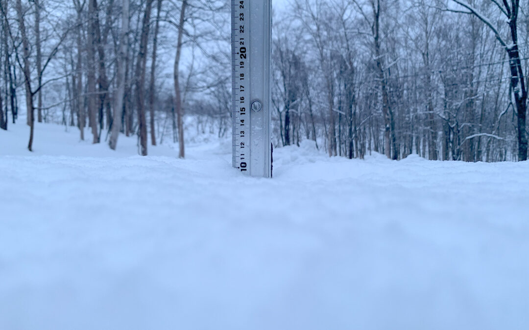 Niseko Snow Report, 26 December 2022