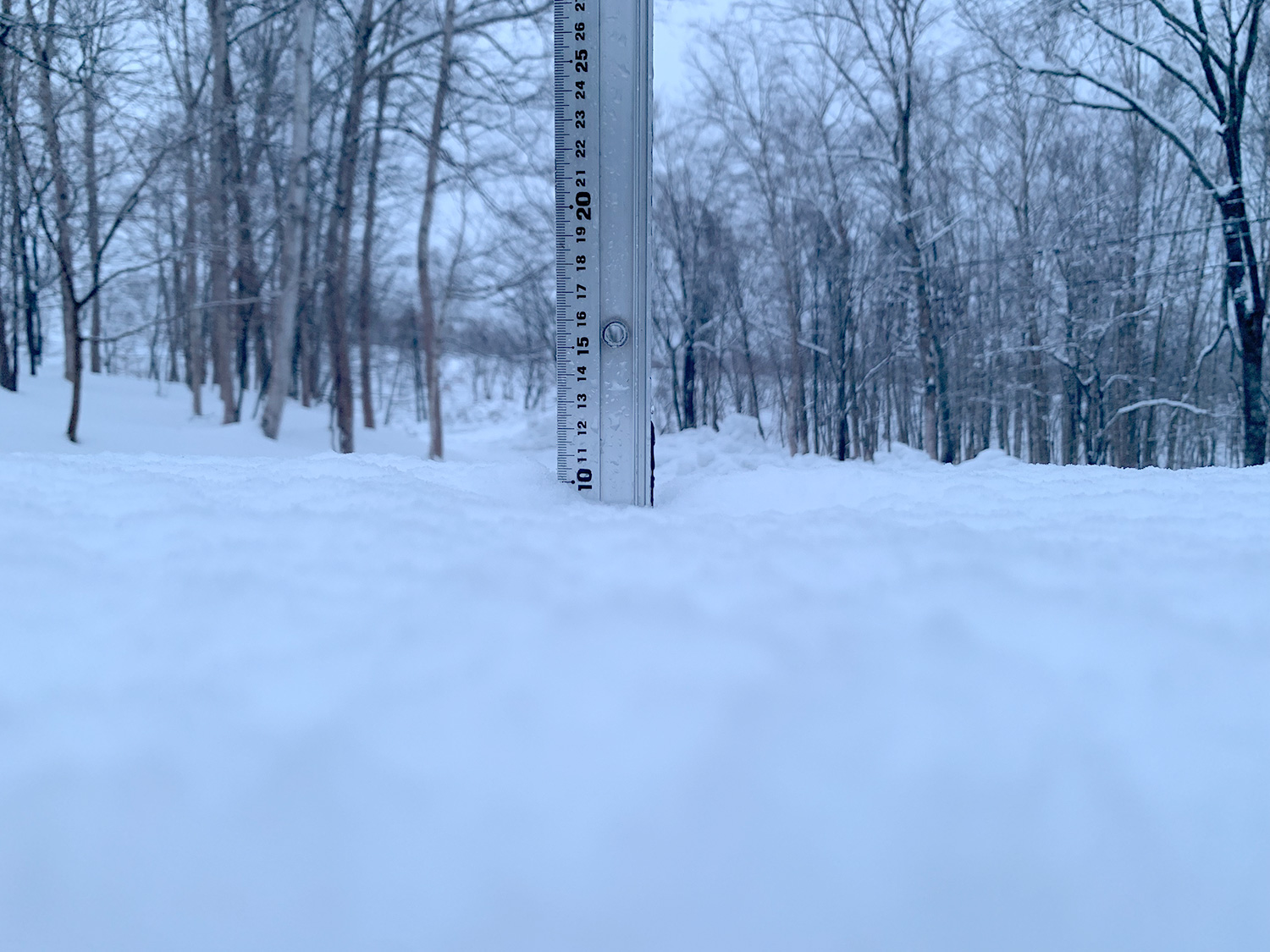 Niseko Snow Report, 26 December 2022 360 Niseko