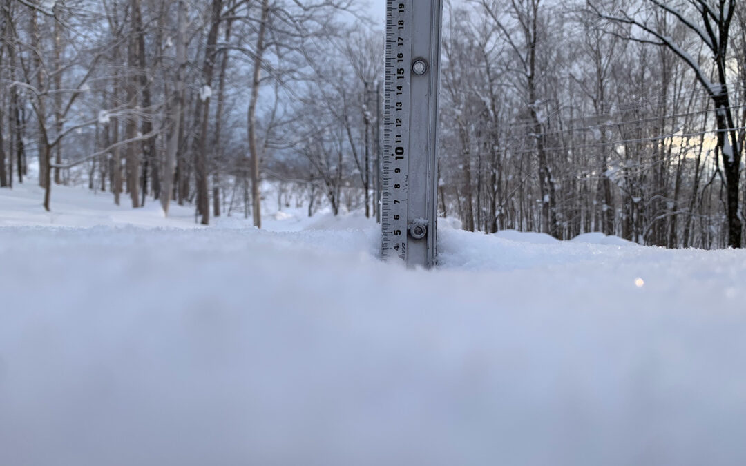 Niseko Snow Report, 8 January 2023