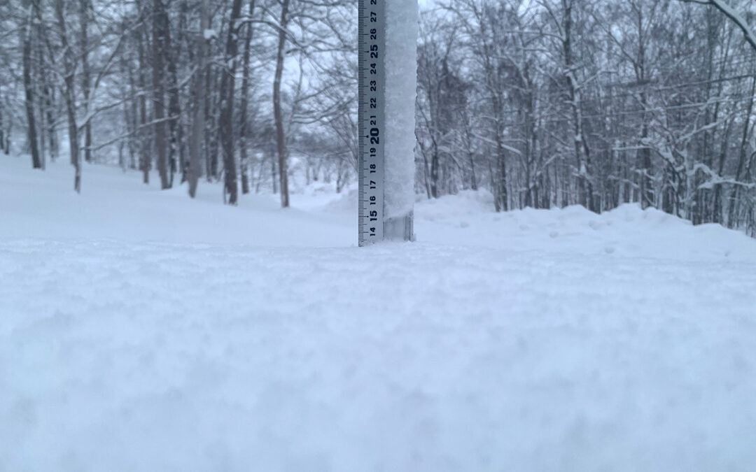 Niseko Snow Report, 2 January 2023