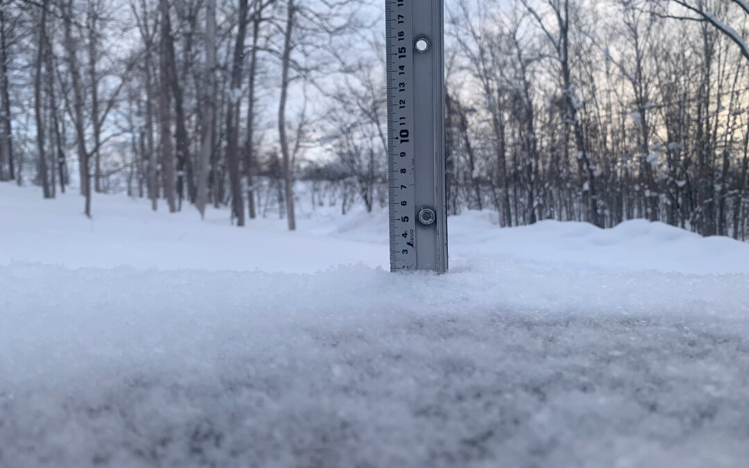 Niseko Snow Report, 7 January 2023