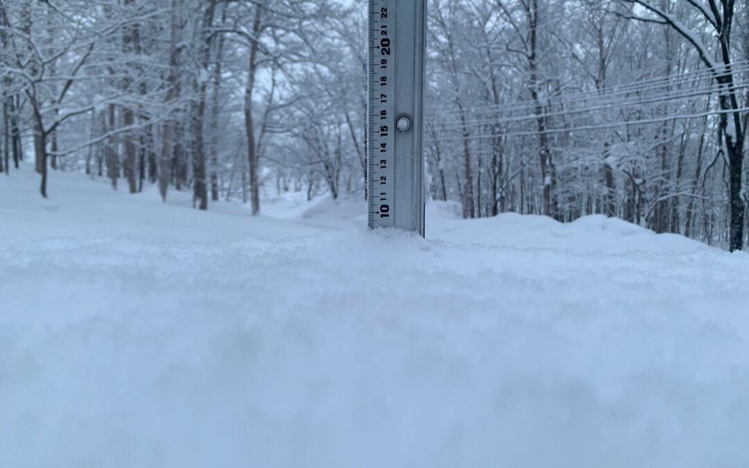 Niseko Snow Report, 9 January 2023