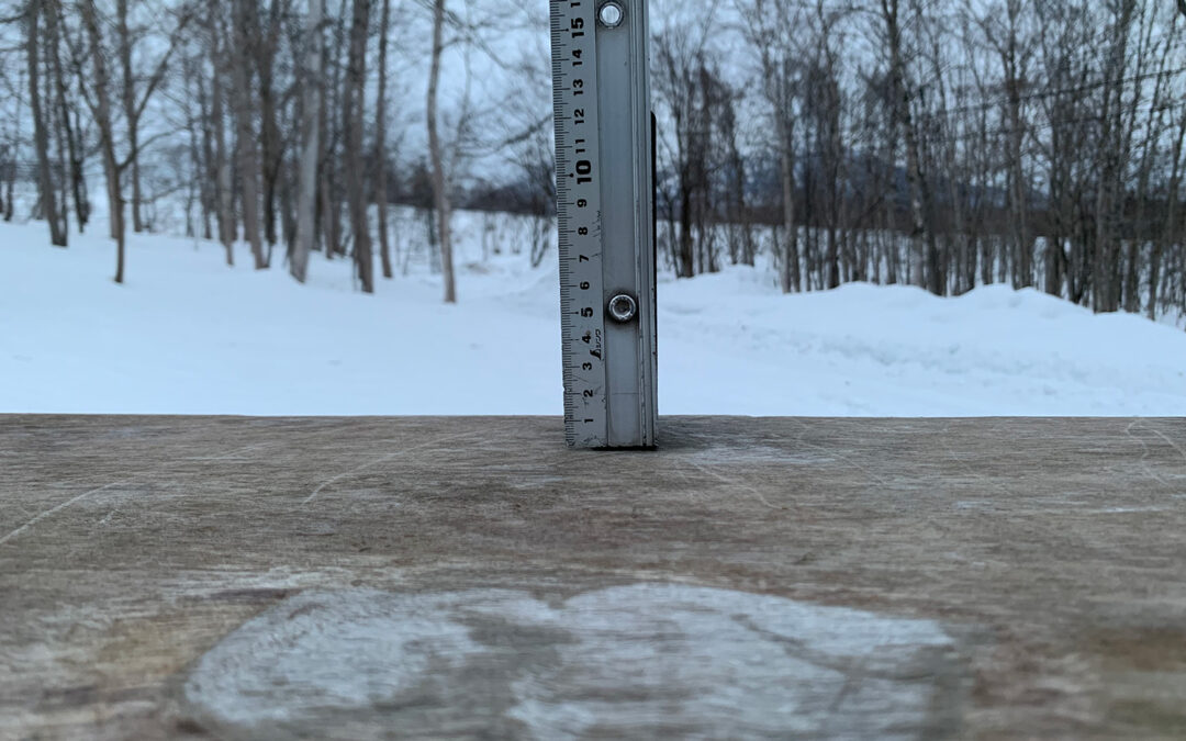 Niseko Snow Report, 15 January 2023