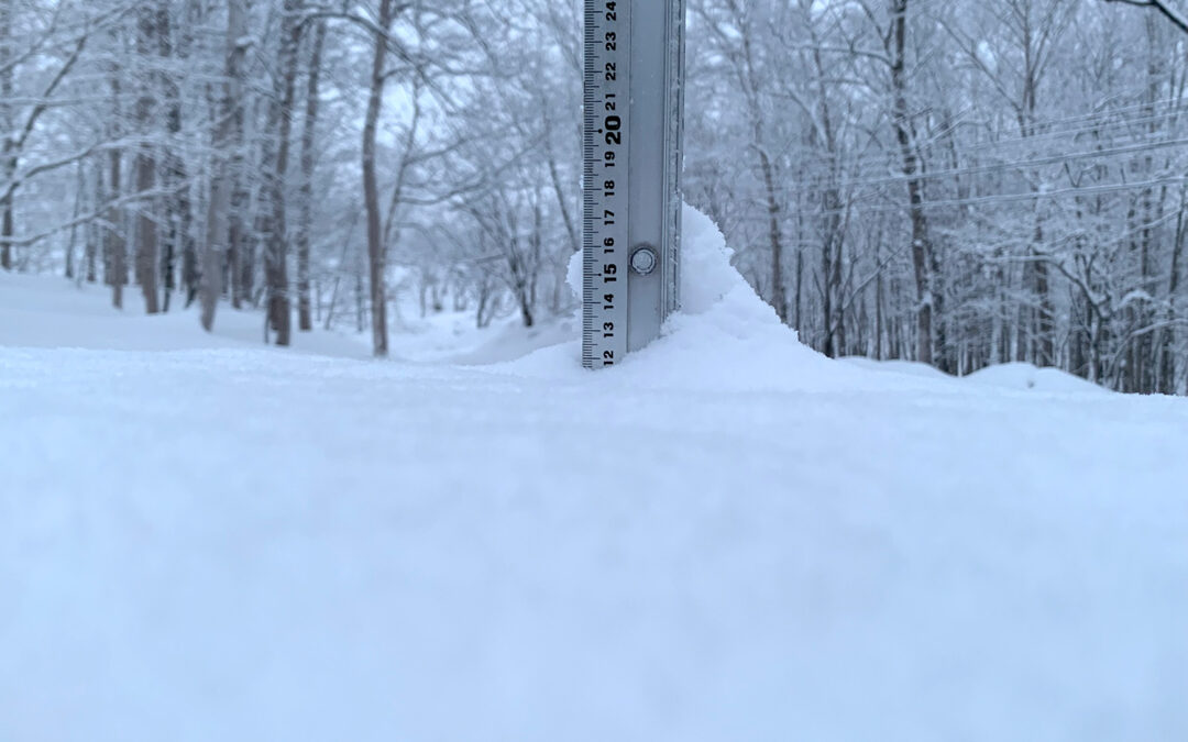 Niseko Snow Report, 18 January 2023