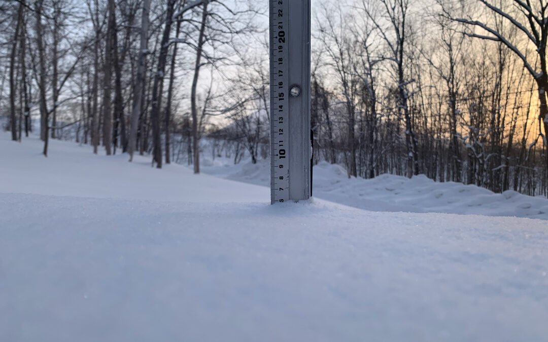 Niseko Snow Report, 23 January 2023