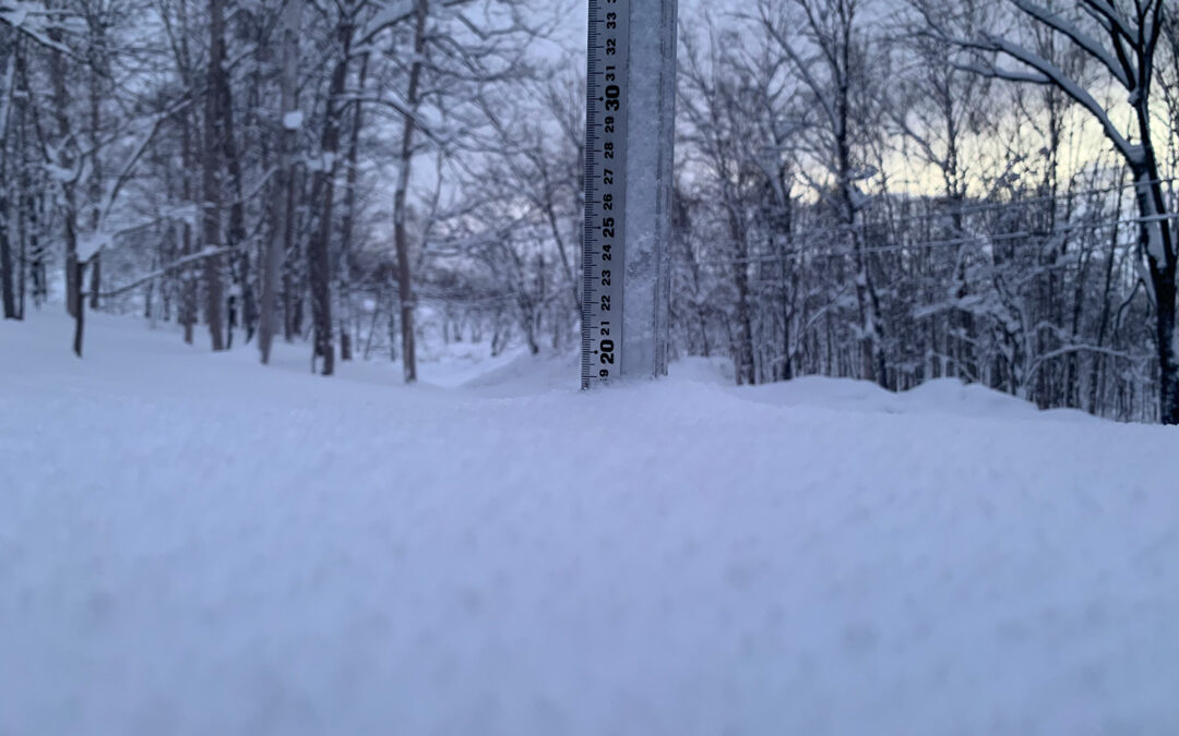 Niseko Snow Report, 4 January 2023